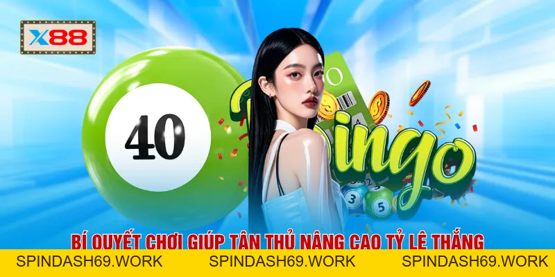 Xổ Số X88 - Theo Dõi Nhịp Quay Số Hấp Dẫn Suốt 365 Ngày