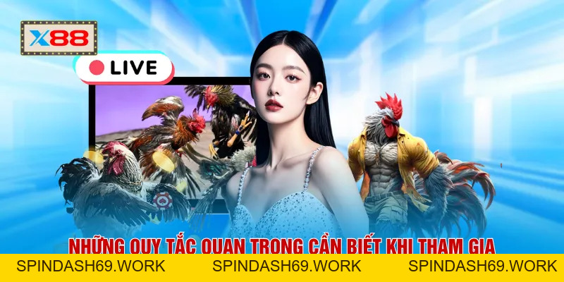 Đá Gà Thomo X88 - Sức Nóng Trường Đấu Lan Tỏa Suốt 24H